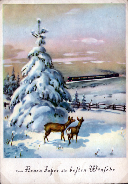 CP neige-F.jpg
