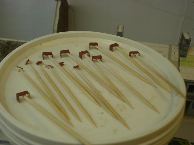 DSC06902_.JPG