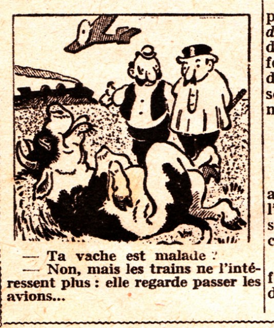 vache malade-F.jpg