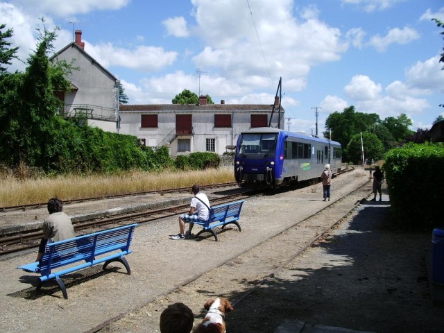 IMGP4521 (Large).JPG
