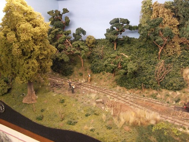 Dscf5534.jpg