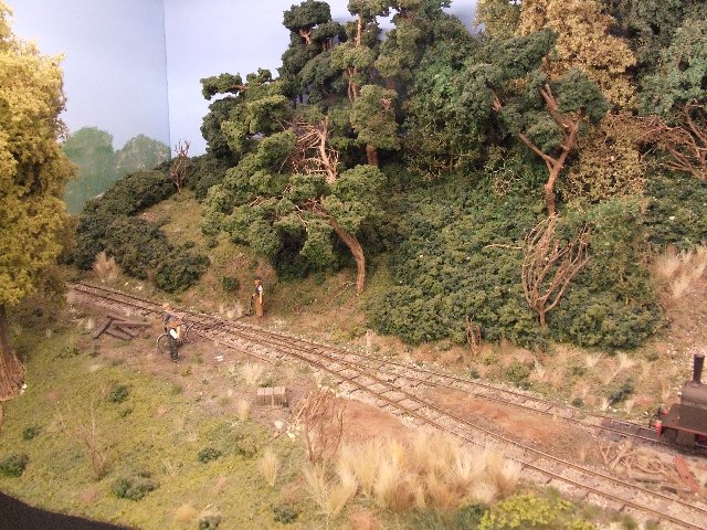 Dscf5537.jpg