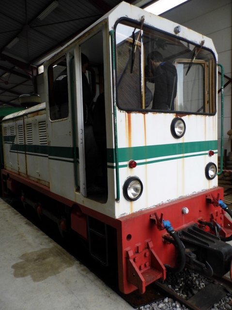 DSCI0100