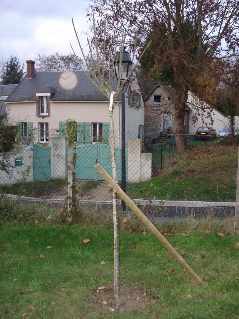 DSC06085