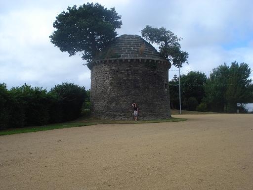 DSC06561