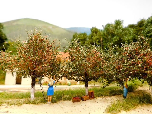 02 Les Copains du Tortillard CFD Vivarais Les Menet Lozère Corse Indre et Loir Meursault 2022