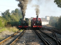 THE RACE 07