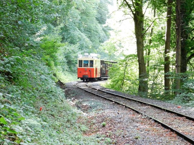 2 Trams Grottes de Han 05.08.2017