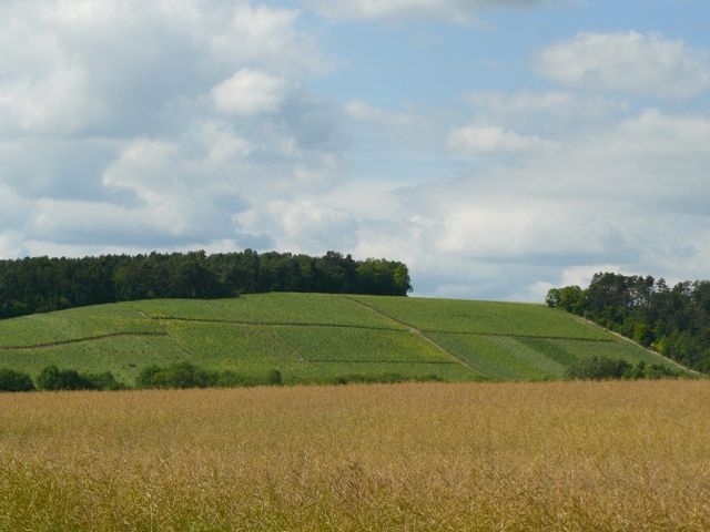 06 Courville Vers Crugny à 180° 1er vignes de Champagne au Sommet des Coteaux