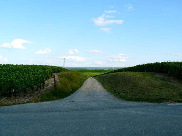 02 Pagny Chemin de vigne vers Villedommange ex-plateforme CBR