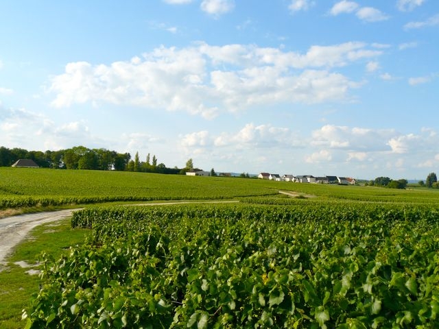 03 Chemin de Vigne Ex-Plateforme vers Pargny