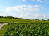 03 Chemin de Vigne Ex-Plateforme vers Pargny