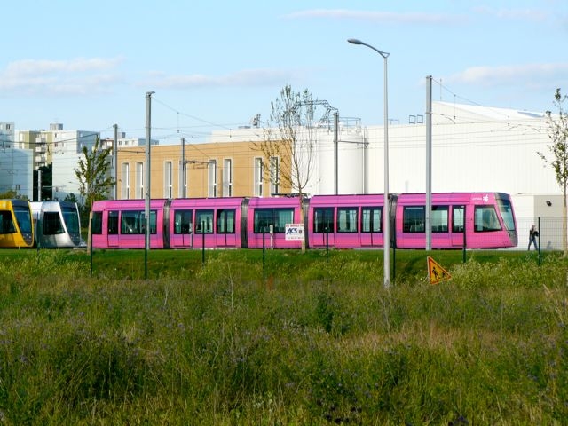 02 Bezannes Tramways Reims Rose