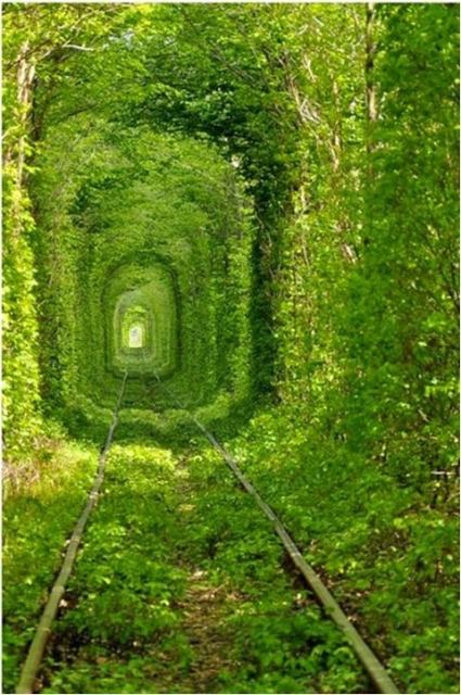 tunnel