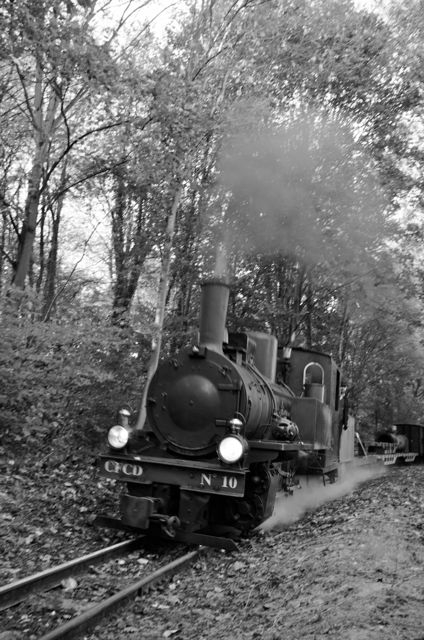 2 APPEVA (3) 14.10.18 Matiné dans le Z