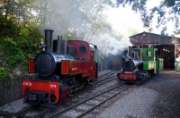 2 APPEVA Portraits de Locomotives 030 Decauville DFB