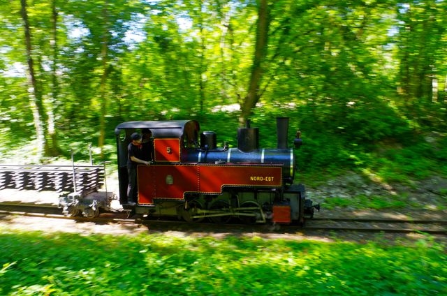 05 Decauville Train Militaire APPEVA 50 ANS 13.06.2021 Dans le Z