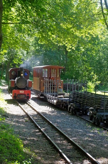 06 Decauville Train Militaire APPEVA 50 ANS 13.06.2021 Remise en Tête
