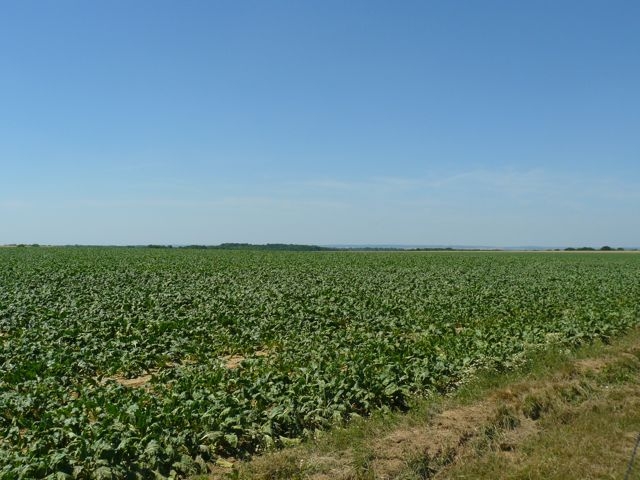 12 Plateau Paysage