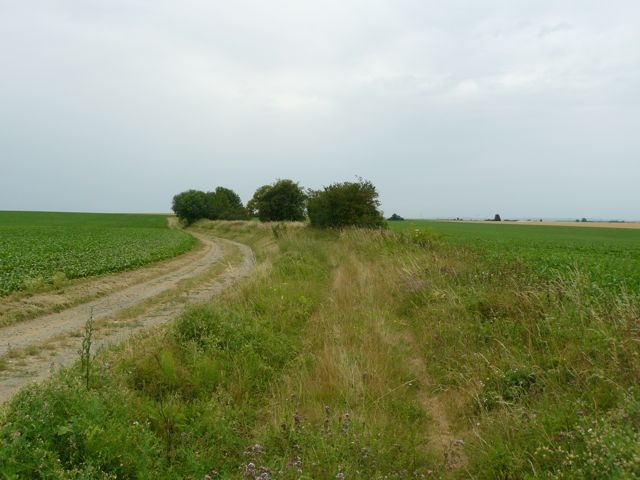 14 Plateforme dir. MontÃ©couvÃ©