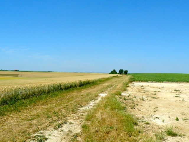 18 Juvigny Plateforme ancienne gare