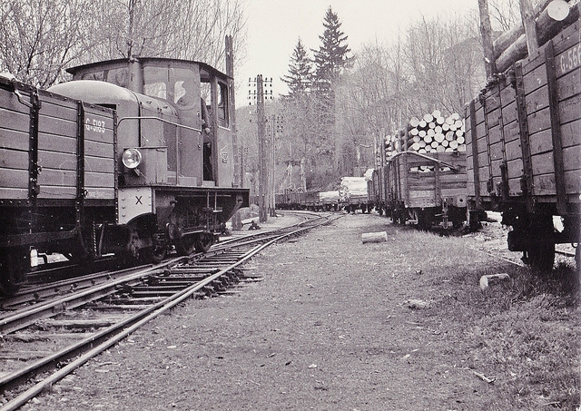 CFD Vivarais Lamastre (3) Trafique de Bois (un peu avant la fermeture) - AGB 1966 FLICKR