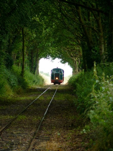 10 Tunnel de Verdure Locotracteur 351