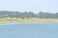 Le Crotoy juillet 2012
