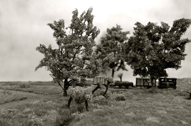 15 Allée de mon père - Tuinpad van mijn vader HOm Marty Van Beek RAMMA 2013