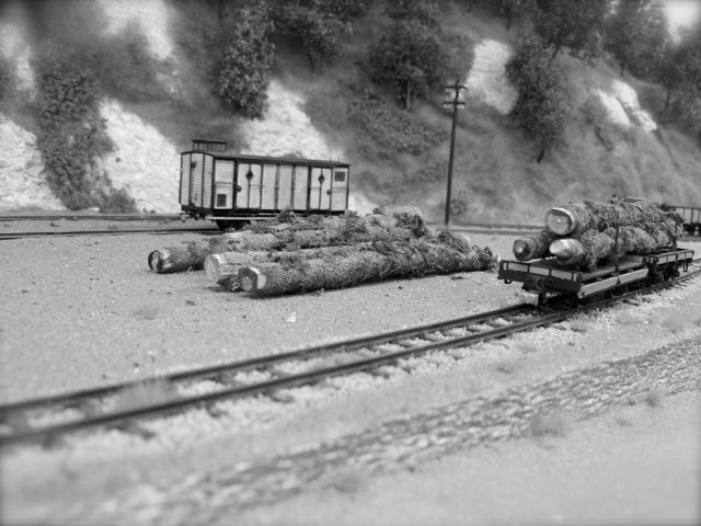 04 RAMMA 2013 Saint-Hilaire de Lavit HOm ABJ-Train