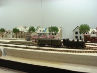 Acacias 04