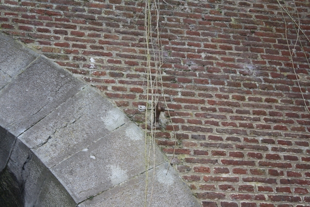 IMG 2696