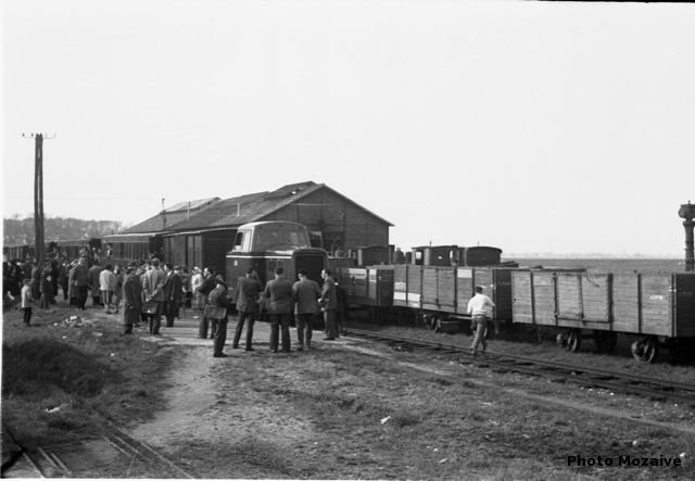03.1.2 FACS 05.04.1959 BAIN DE MER CAYEUX-NOYELLES SAINT VALERY CANAL PHOTO MOZAIVE