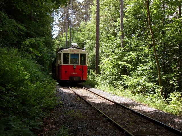 SDC11492