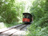 SDC11494
