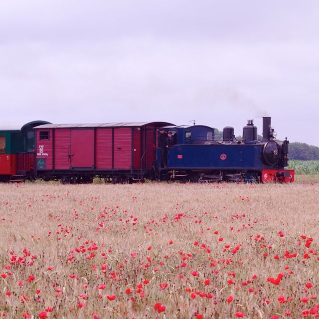2 CFBS 13.07.14 Pinguely Train Saint Valery Cayeux Locotram Benji Jeremy