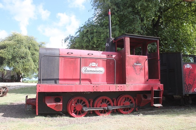 Damoiseau 12