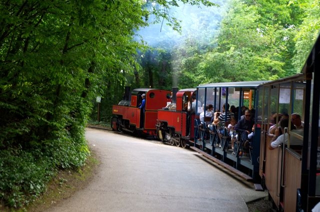10 CF Chanteraines APPEVA dans la boucle