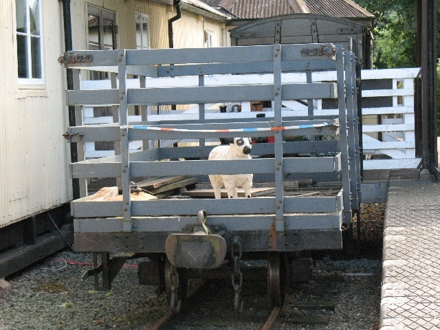 IMG 1844 Llanfair