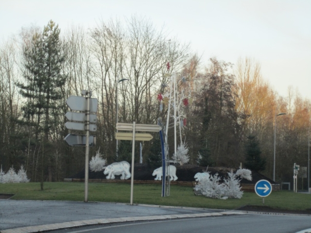 Ours polaires