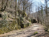 Brassac2