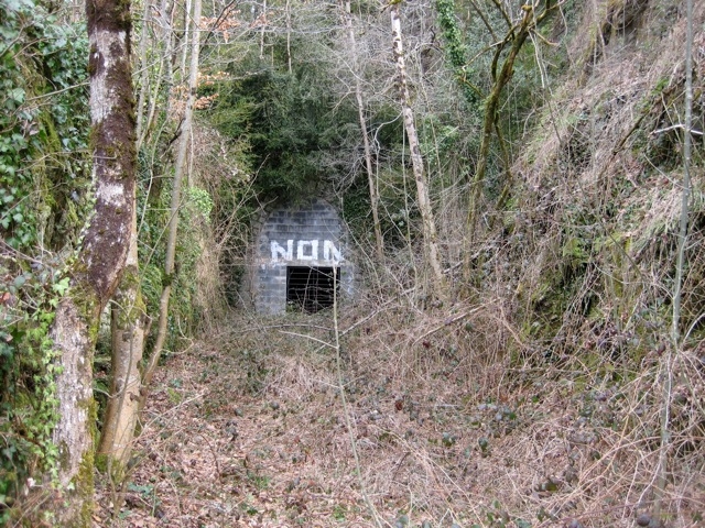 Lacaune3