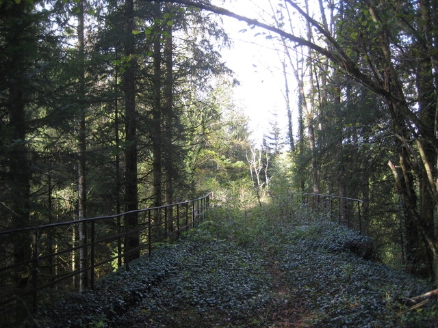 Jura8