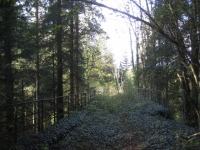 Jura8