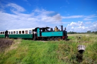 05-CFBS 31.08.14 031T Buffaud Ligne du Crotoy Bas Champs