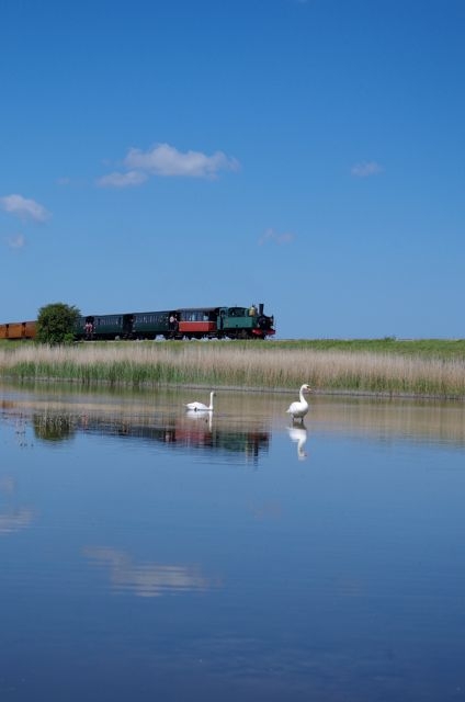 01 CFBS 07.06.15 Haine Saint Pierre Rame Somme Bergerie Cygne