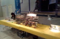 stand TdA