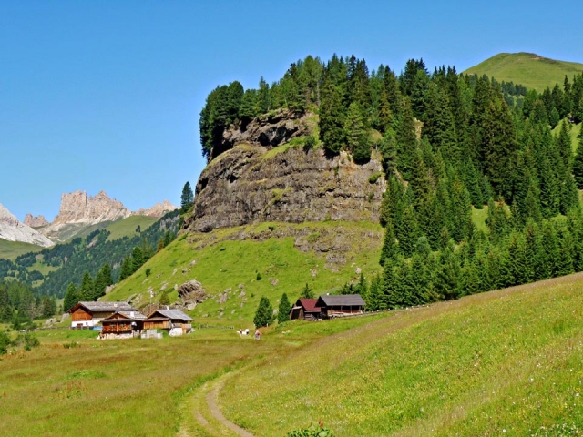 Reseau Gruyère - Reference visuelle