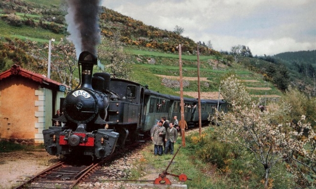 CFD Vivarais Mallet 030+030T n°403 Halte d'Intres Voyage FACS 1966 Photo Schnabel
