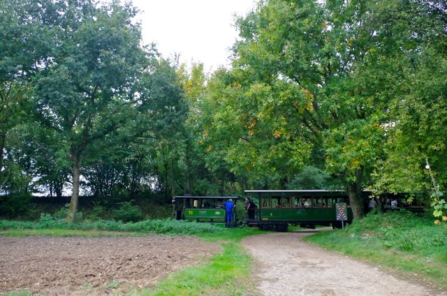 05 MTVS Festival 06.10.18 PN Agricole